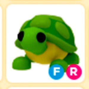 Hi i’m selling my turtle (Fly/Ride) It is fully grown and named mushroom.